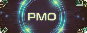 Program Management & PMO Enablement